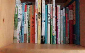 村年度工作总结暨年度计划7篇