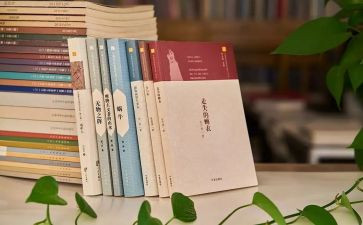 村年度工作总结暨年度计划模板7篇