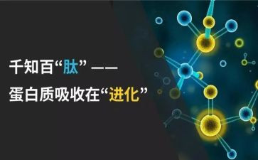 肽行业调查报告7篇