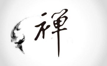 禅与蚂蚁读后感5篇