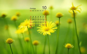 大大班10月份工作计划7篇