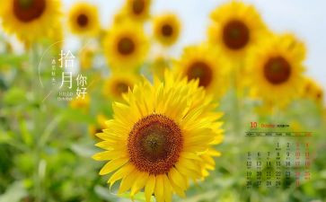 10月物业工作计划5篇