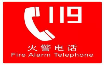 119心得体会1000字优秀8篇