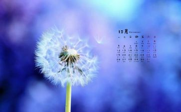 幼儿园12月份周工作计划5篇