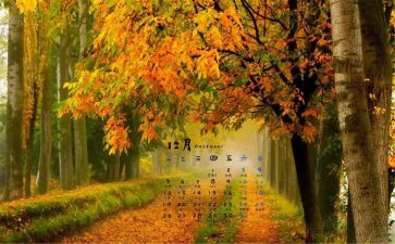 12月度安全工作总结最新7篇