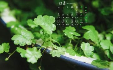 12月的销售工作计划5篇