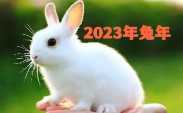车间主任2023年终总结8篇