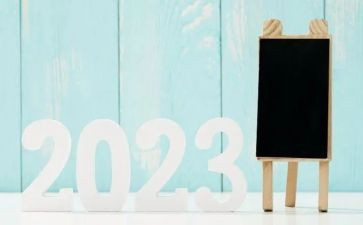 2023年度文员工作总结精选6篇