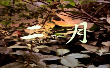 2月份企业工作总结6篇
