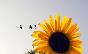 办公室2月度工作总结8篇