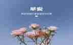 3月份工作计划范文6篇