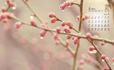 4月学校活动方案5篇