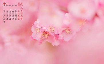 幼儿园4月份安全总结6篇
