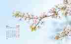 4月份个人总结6篇