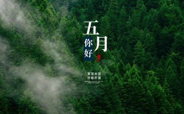 幼儿园5月份月计划6篇