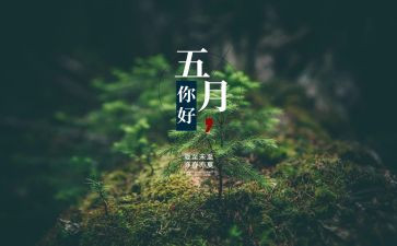 5月份财务工作总结5篇