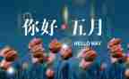 幼儿园小班5月份工作总结6篇