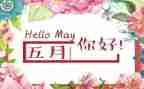 中班5月份工作总结精选7篇