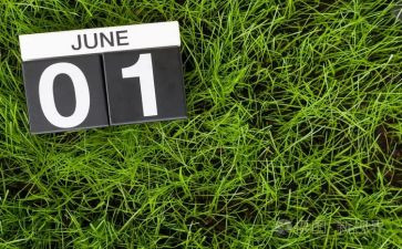6月份月总结参考5篇