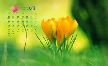 幼儿园6月份中班工作总结5篇