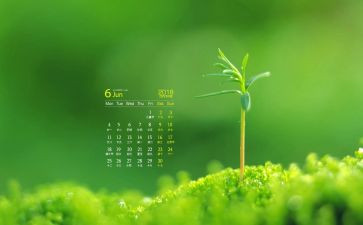 学生会6月工作计划7篇