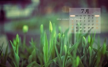 7月份活动方案8篇