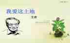 艾青诗选树的读后感5篇