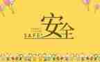 安全问题心得体会5篇
