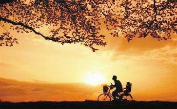 爱_的爸爸作文7篇