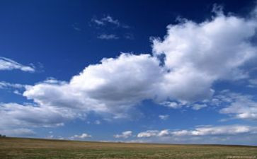 白色作文600字7篇