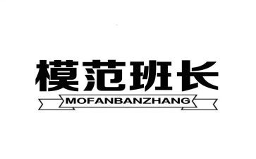 保安班长个人总结报告6篇