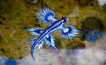 生物教师工作计划2023通用6篇