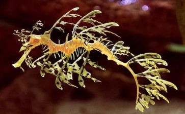 生物教师教学总结参考8篇