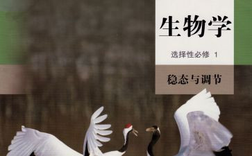 高中生物教师述职报告6篇