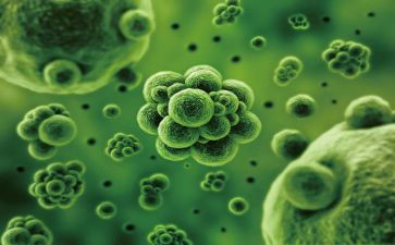 生物实验教学心得体会8篇
