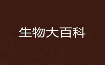 高中生物本学期工作总结5篇