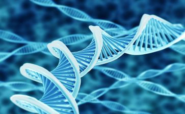 中学生物实验室工作计划6篇
