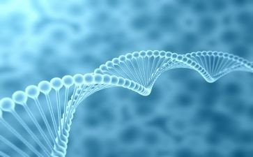 生物冀版工作计划优质5篇