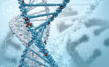 生物教师教学总结推荐8篇