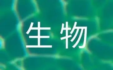 表里生物的教案8篇