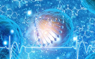 生物实验室自查报告6篇