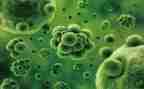 生物实验教学心得体会8篇