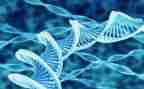 中学生物实验室工作计划6篇