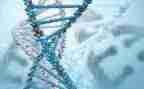 生物教师教学总结推荐8篇