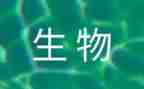 表里生物的教案8篇