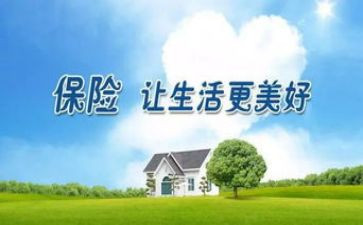 保险年度总结7篇