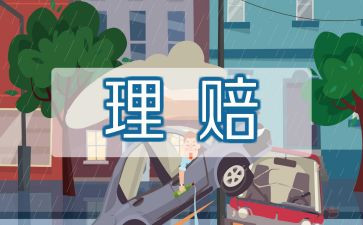 保险公司半年工作总结5篇