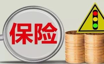 2024年保险公司工作总结范文7篇