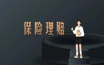 保险公司工作总结个人范文5篇
