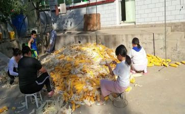 剥玉米的教案7篇